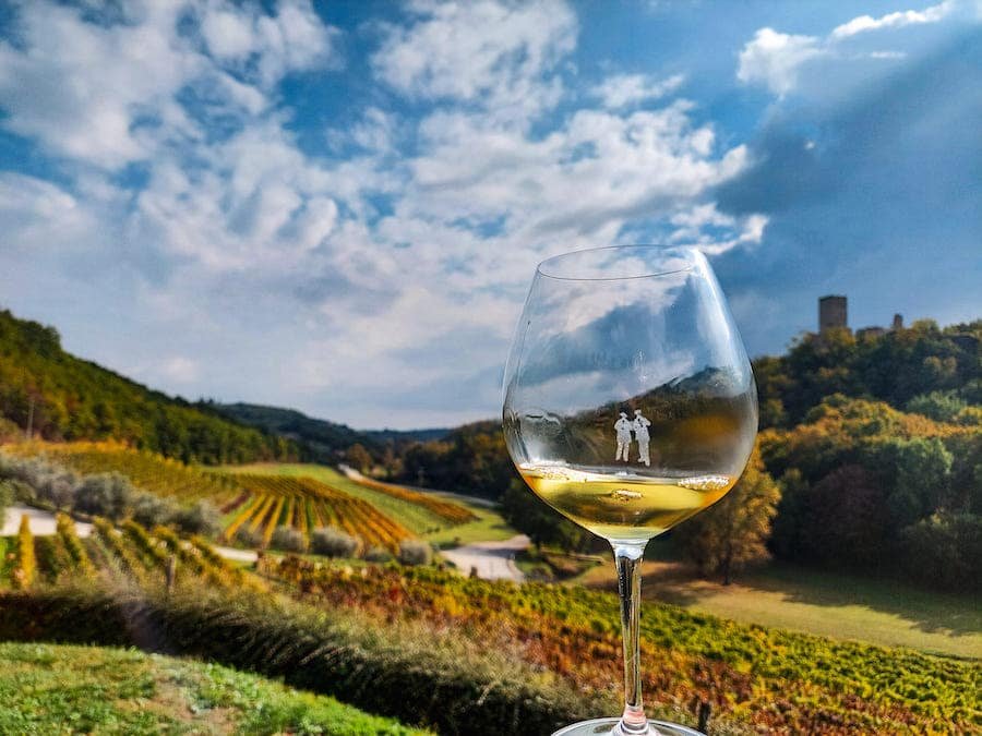 Croatia Travel Blog_Best Wines and Wine Regions In Croatia_KozloviÄ