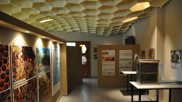 Greece Travel Blog_Rhodes Island Guide_Museum of Bees & Honey