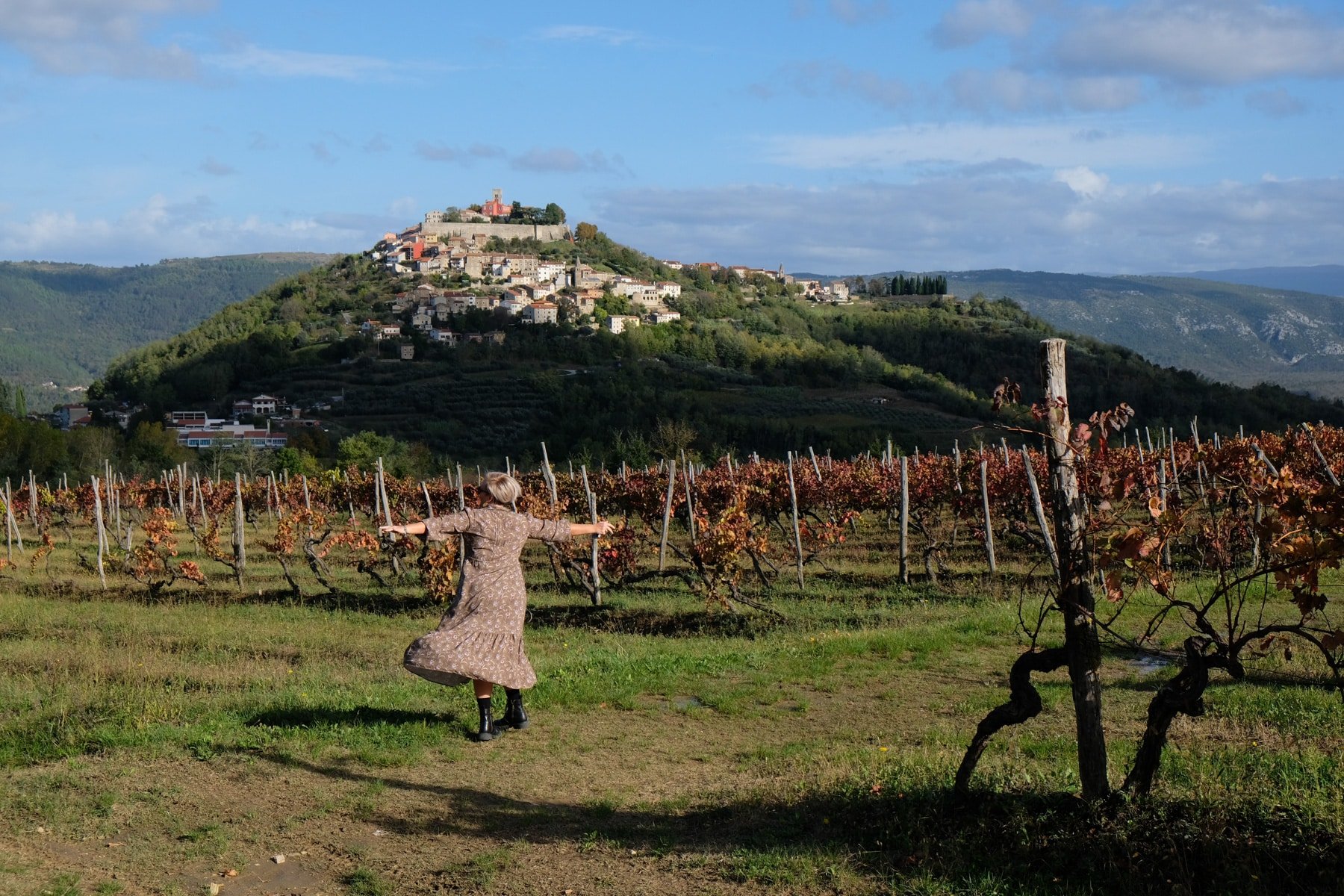 Sj running in the beautiful vineyards of Istria.
