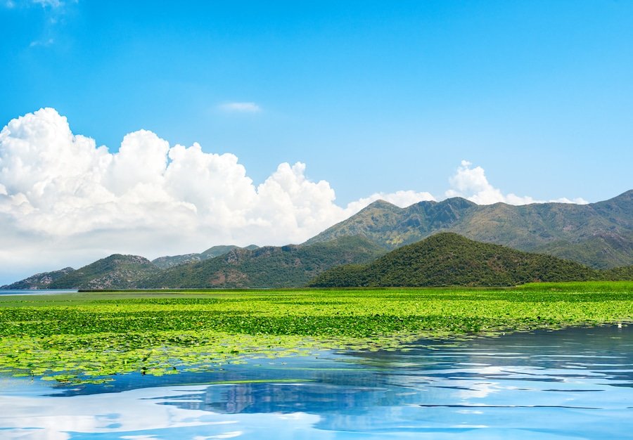 Lake Skadar Montenegro