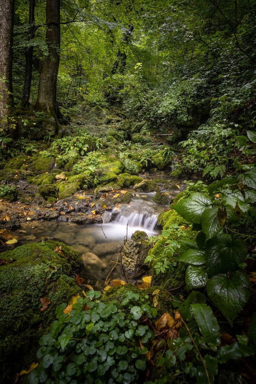 Papuk Nature Park Fall