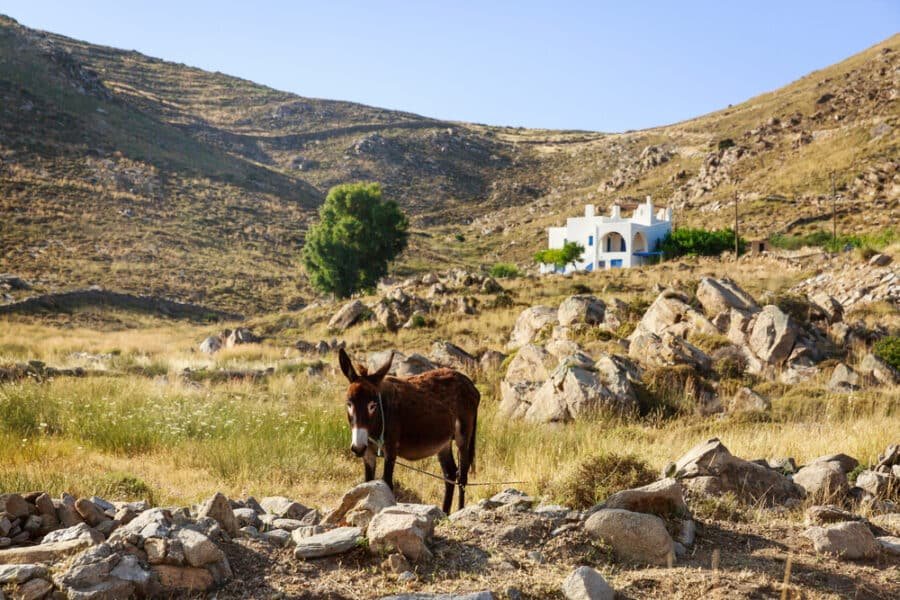 CycladesIslandHopping - Paros Island