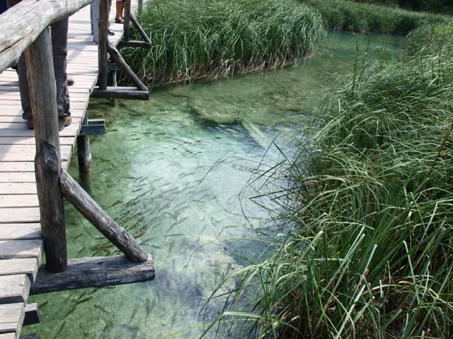 Plitvice Lakes National Park CtD - 19