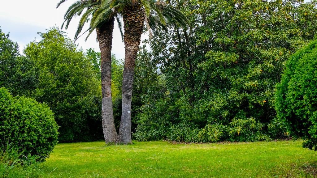 Trsteno Arboretum - King's Landing Gardens Sword Fight (1)